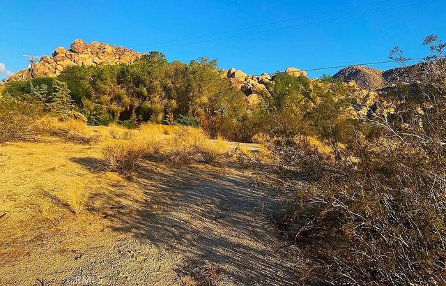66058 Foothill Dr, Joshua Tree, CA 92252 - photo 7