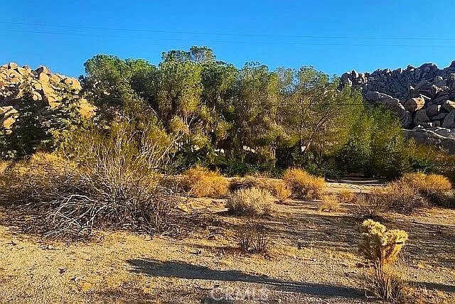 66058 Foothill Dr, Joshua Tree, CA 92252 - photo 11