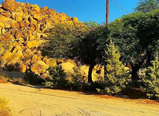 66058 Foothill Dr, Joshua Tree, CA 92252 - photo 4