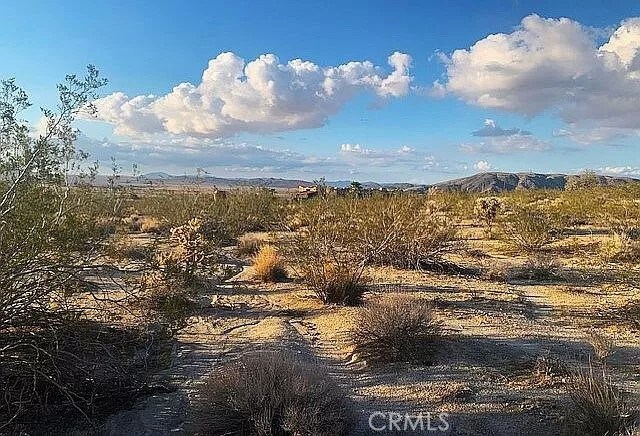 66058 Foothill Dr, Joshua Tree, CA 92252 - photo 6