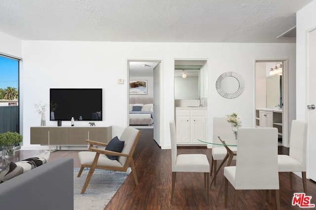 living room with a textured ceiling, sink, and dark wood-type flooring