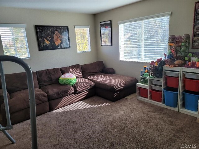 living room featuring carpet flooring