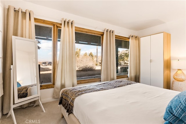 carpeted bedroom featuring a closet