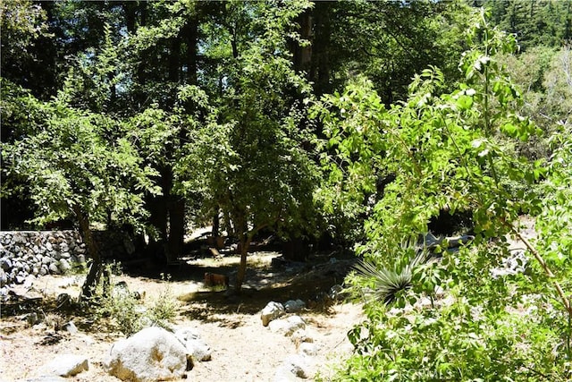 47 Ice House Mt, Baldy, CA 91759 - view of local wilderness