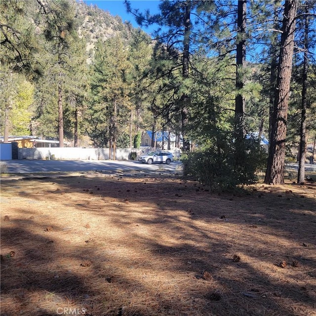 Listing photo 3 for 0 Ross, Wrightwood CA 92397