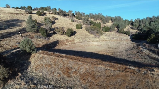 Listing photo 2 for 21 Bumguardner Mountain Rd, Mariposa CA 95338