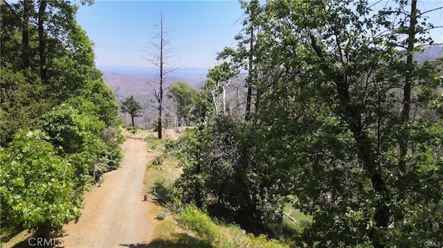 10155 Socrates Mine Rd, Middletown, CA 95461 - photo 23