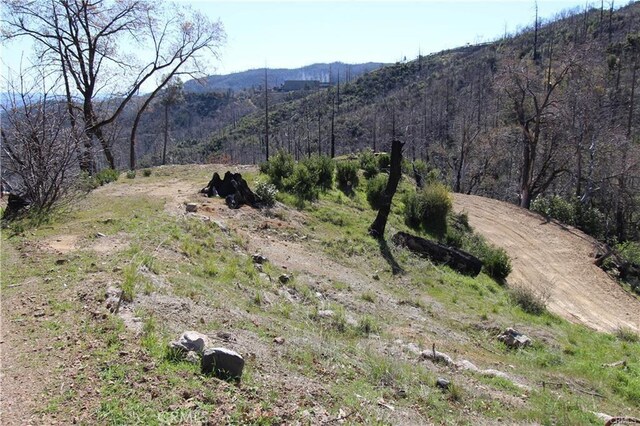 10155 Socrates Mine Rd, Middletown, CA 95461 - photo 52
