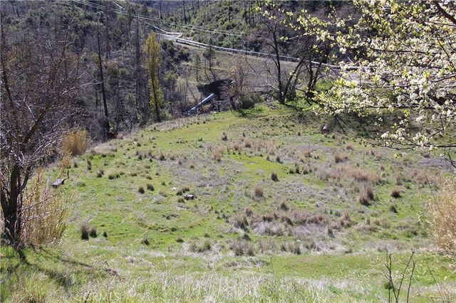 10155 Socrates Mine Rd, Middletown, CA 95461 - photo 8