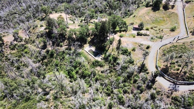 10155 Socrates Mine Rd, Middletown, CA 95461 - photo 2