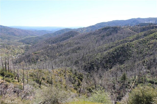 10155 Socrates Mine Rd, Middletown, CA 95461 - photo 48