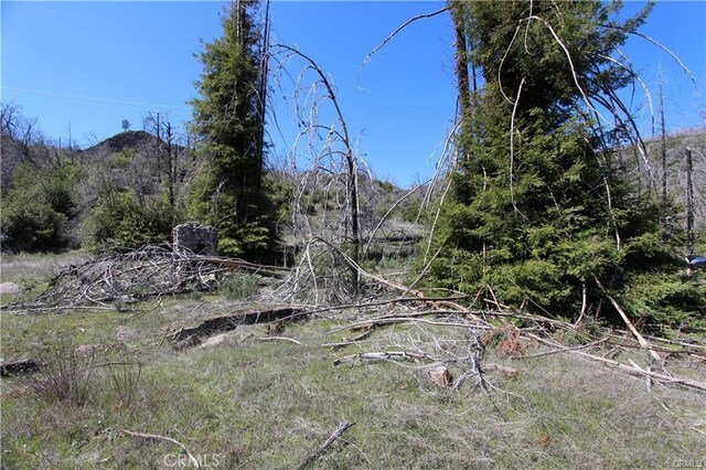 10155 Socrates Mine Rd, Middletown, CA 95461 - photo 33