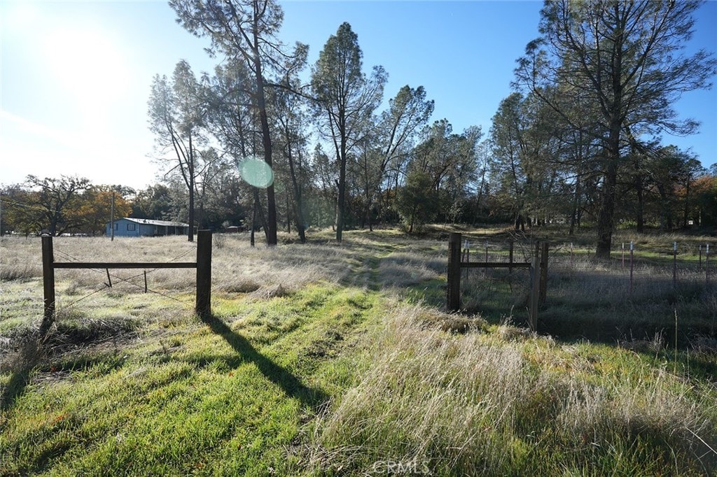 7672 Green Oak Dr, Corning, CA 96021 - photo 1