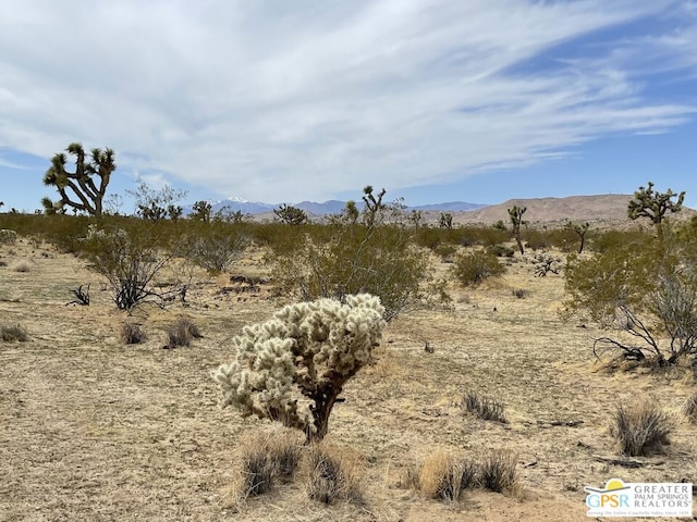 Listing photo 2 for 0 Verbena Rd, Joshua Tree CA 92284