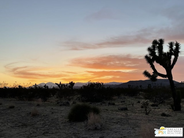 Listing photo 3 for 0 Verbena Rd, Joshua Tree CA 92284