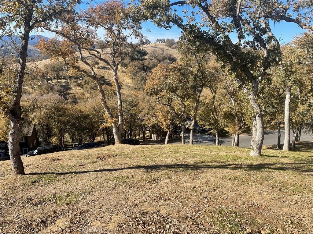 2474 Captains, Bradley, CA 93426 - photo 4