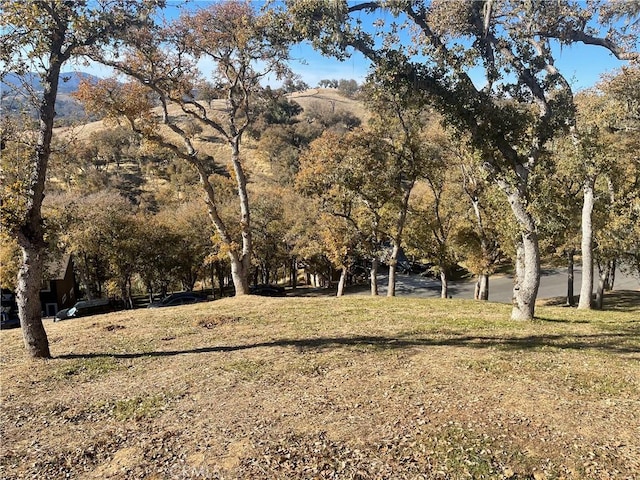 2474 Captains, Bradley, CA 93426 - photo 4