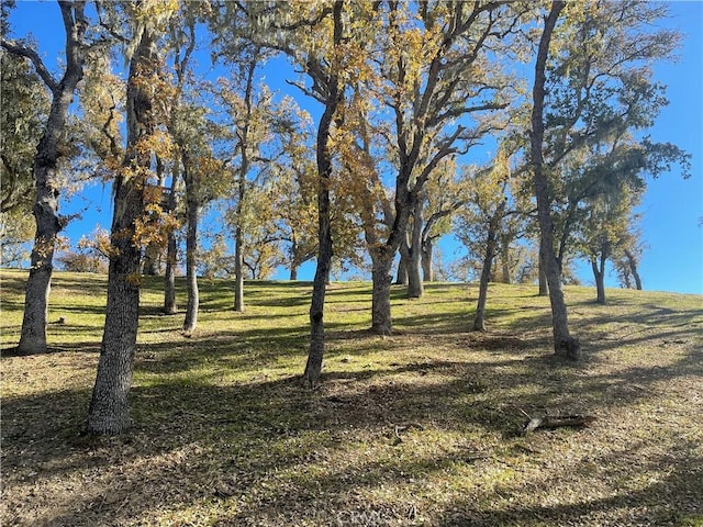 2474 Captains, Bradley, CA 93426 - photo 3