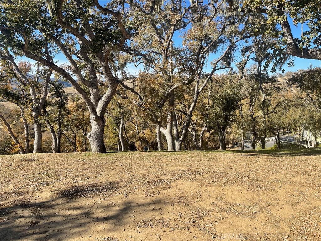 2474 Captains, Bradley, CA 93426 - photo 1