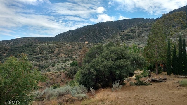 3408 Iowa Trl, Frazier Park CA, 93225 land for sale