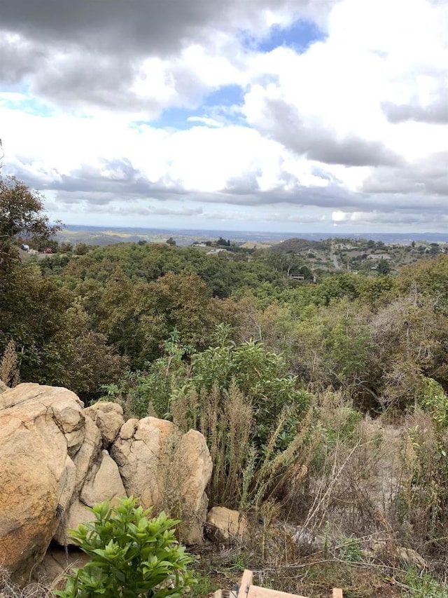 view of nature featuring a forest view
