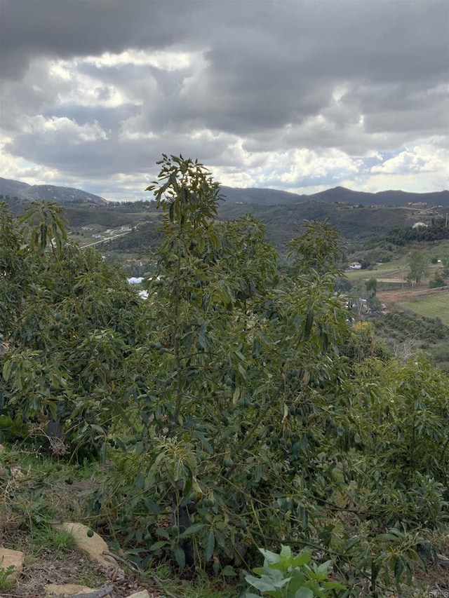 view of mountain feature
