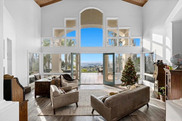 living room featuring wood-type flooring and high vaulted ceiling