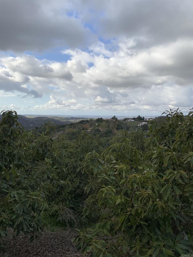 mountain view