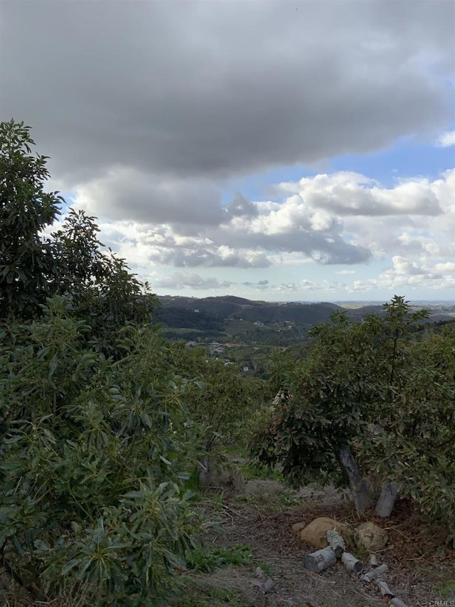 property view of mountains