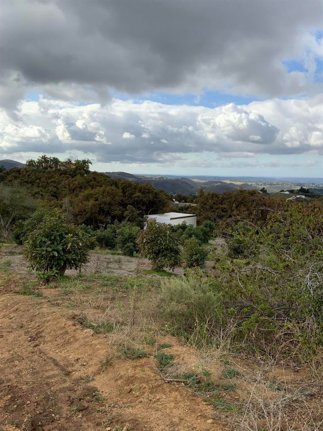 view of local wilderness