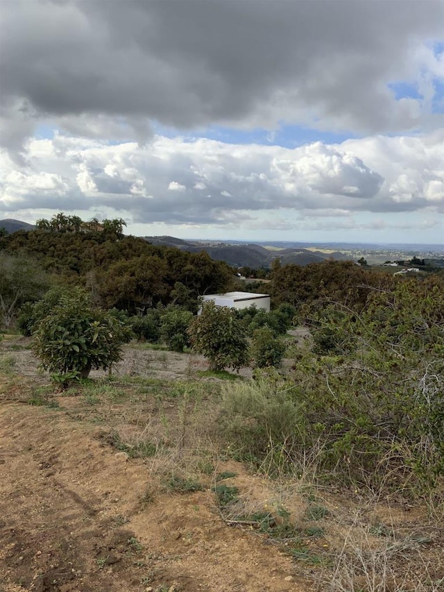 view of landscape