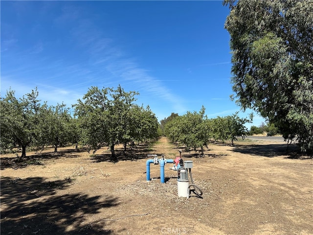 view of yard with a rural view