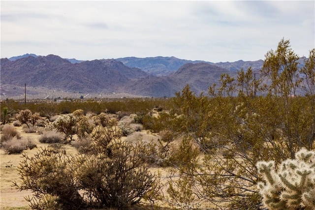 view of mountain feature