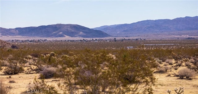 view of mountain feature