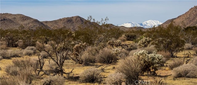 view of mountain feature