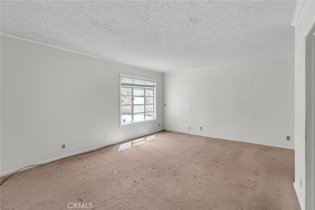 spare room with a textured ceiling and carpet floors
