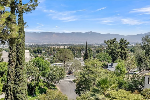 mountain view