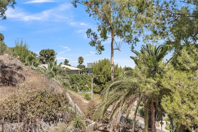 view of landscape