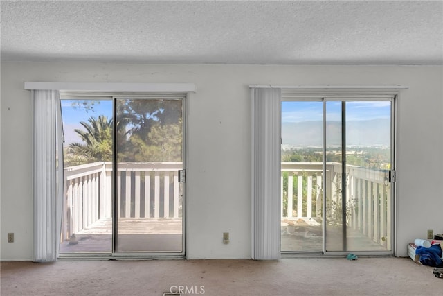 entryway with a wealth of natural light, a textured ceiling, and carpet floors