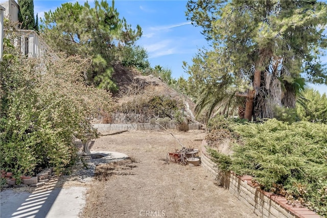 view of yard