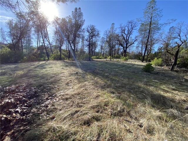 15785 Placer Ct, Corning CA, 96021 land for sale