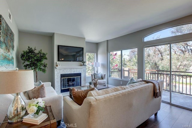 living room featuring a fireplace and wood-type flooring