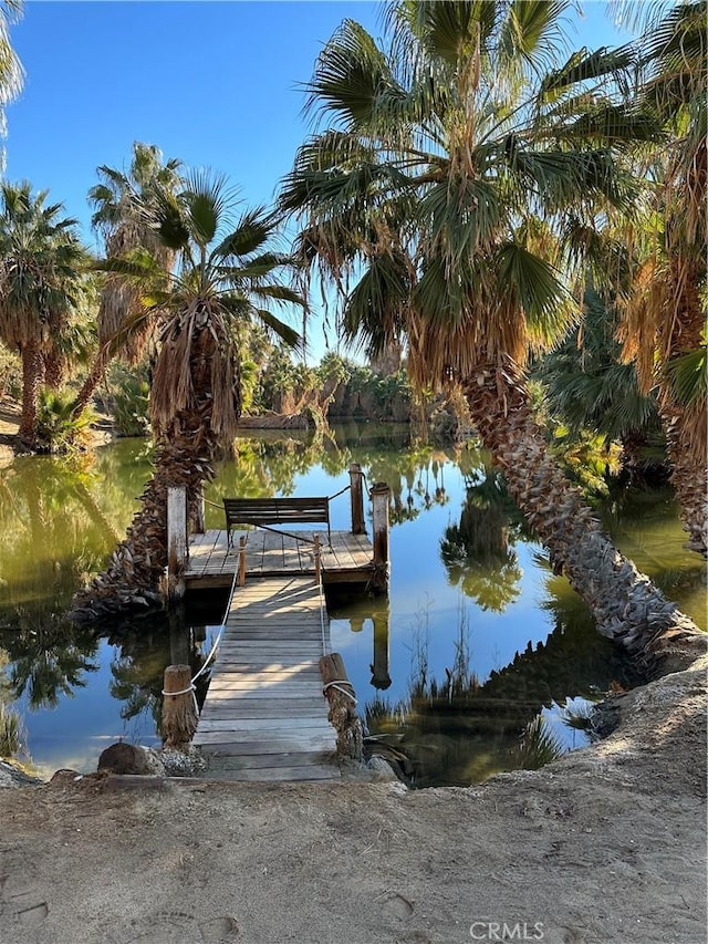 dock area with a water view