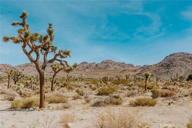 property view of mountains