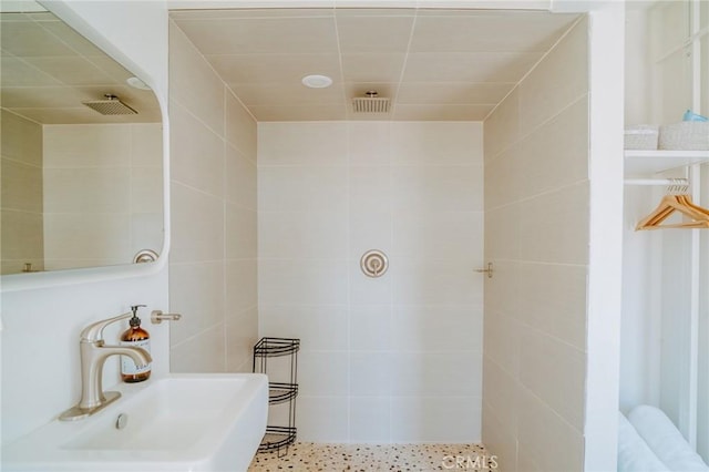 bathroom with sink and walk in shower