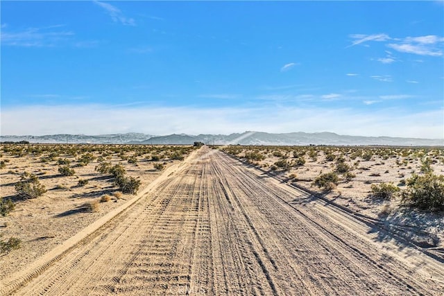 0 Bragdon Rd, Newberry Springs, CA 92365 - photo 17