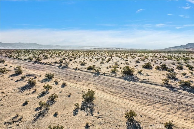 0 Bragdon Rd, Newberry Springs, CA 92365 - photo 18