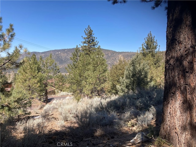 Listing photo 3 for 15125 Chestnut Dr, Pine Mountain Club CA 93222