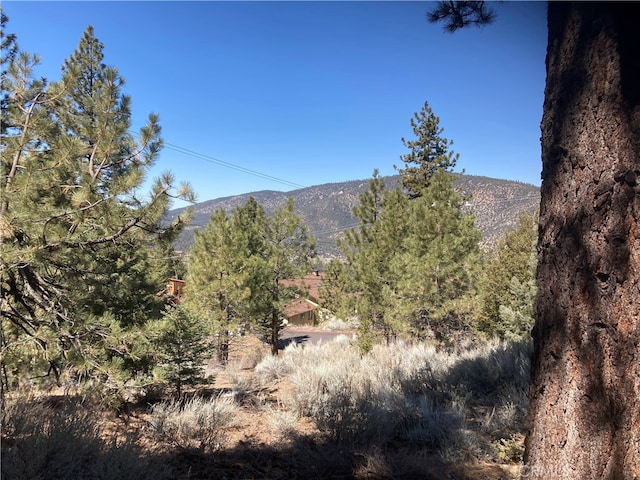 15125 Chestnut Dr, Pine Mountain Club CA, 93222 land for sale