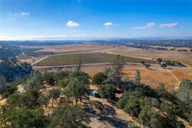 bird's eye view with a rural view